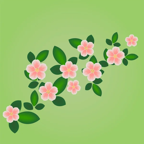 Fiore di primavera — Vettoriale Stock