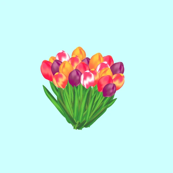 Tulip bos — Stockvector