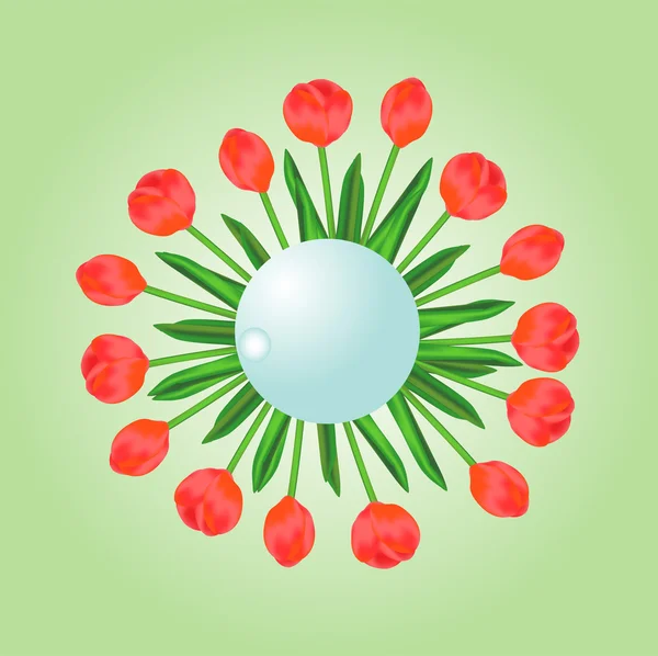 Rode tulpen illustratie — Stockvector