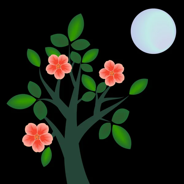 Blossom träd på natten — Stock vektor