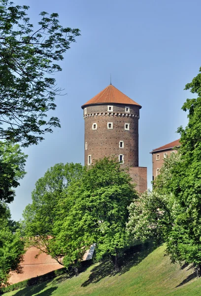 Věž na hrad wawel — Stock fotografie