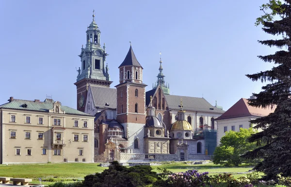 Wawel katedrális Krakkóban, Lengyelország — Stock Fotó