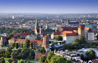Wawel Castle in Krakow. Aerial view clipart