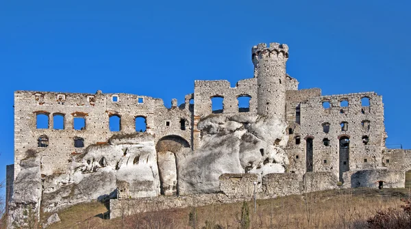 Ruiny zamku w ogrodzieniec, Polska — Zdjęcie stockowe