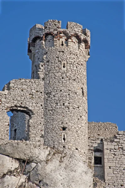 Башня старого замка — стоковое фото