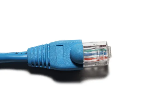 stock image Blue Connector RG-45