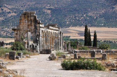 Volubilis Capitol