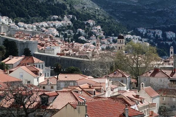 Dubrovnik fort — Stockfoto