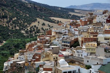 Moulay Idriss