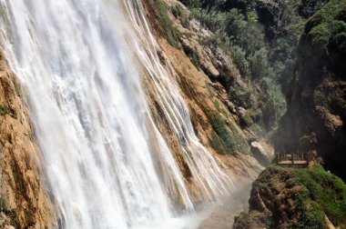 Meksikalı falls