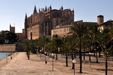 Palma de Mallorca Katedrali