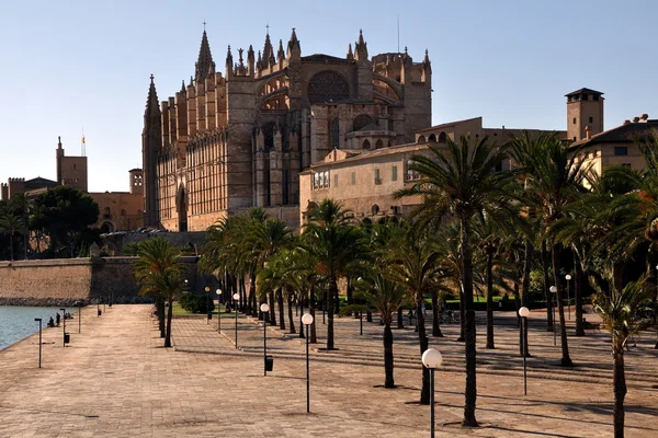 Catedral de Palma de Mallorca —  Fotos de Stock