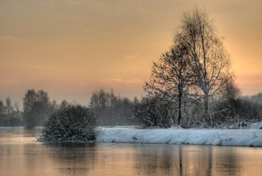 ormanda peyzaj hdr fotoğraf