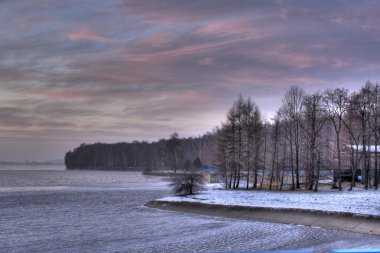 ormanda peyzaj hdr fotoğraf