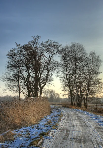 ormanda peyzaj hdr fotoğraf