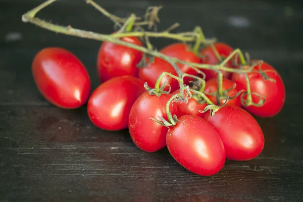 Fresh red tomatoes — Stock Photo, Image