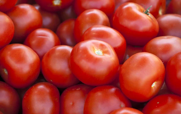 Čerstvá červená rajčata — Stock fotografie