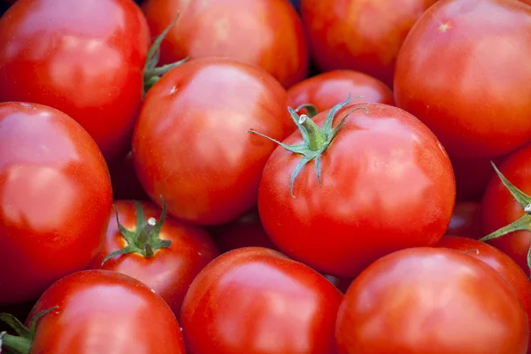 Tomates rojos frescos — Foto de Stock
