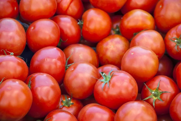 Tomates rojos frescos —  Fotos de Stock