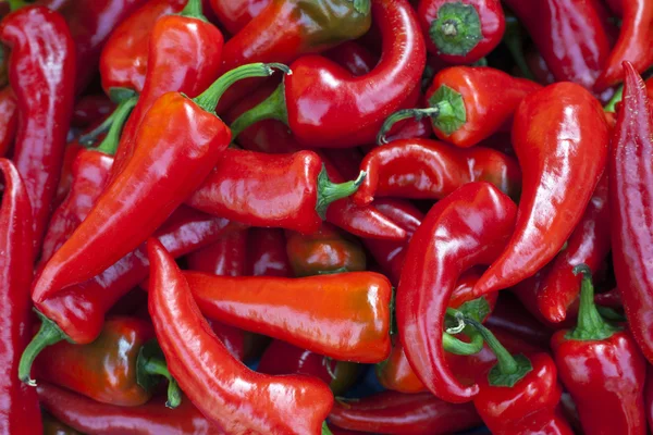 Pimientos rojos picantes frescos —  Fotos de Stock