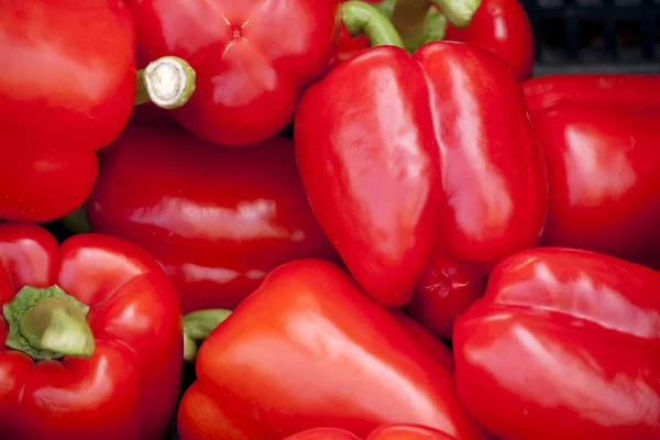 Färsk röd paprika — Stockfoto