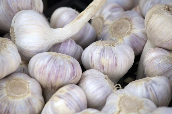 stock image Fresh garlic on a market