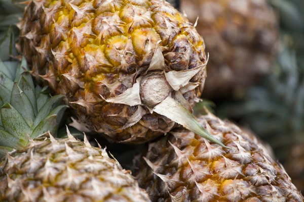 stock image Fresh pineapple on a market