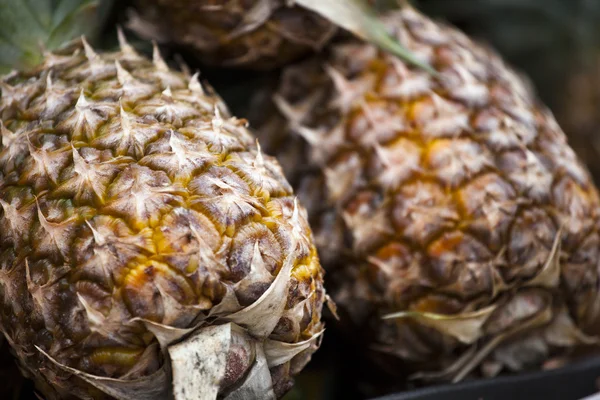 Stock image Fresh pineapple on a market