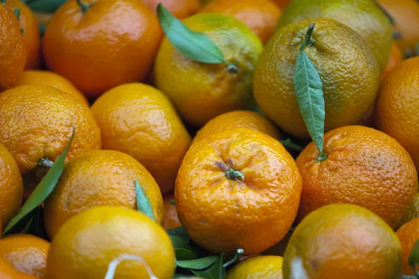 stock image Fresh tangerines on market