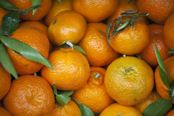 stock image Fresh tangerines on market