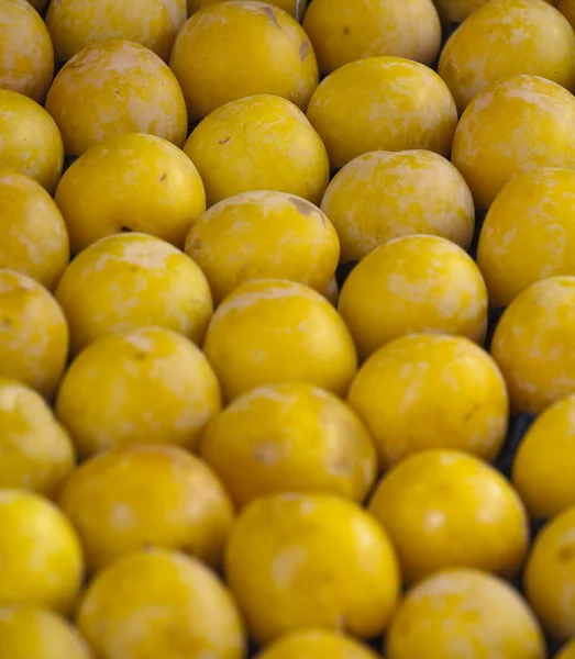 Grupp av citroner — Stockfoto