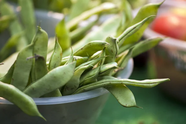 stock image Beans on a market