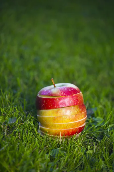 Frische Äpfel in Scheiben — Stockfoto