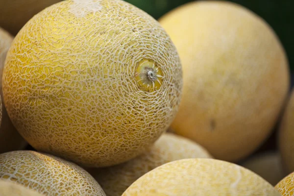 Melony świeże na rynku — Zdjęcie stockowe