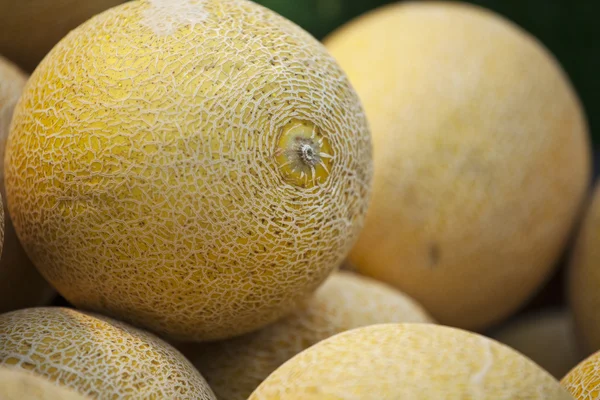 Frische Melonen auf dem Markt — Stockfoto