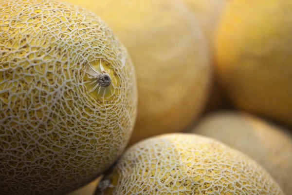 Färska meloner på marknaden — Stockfoto