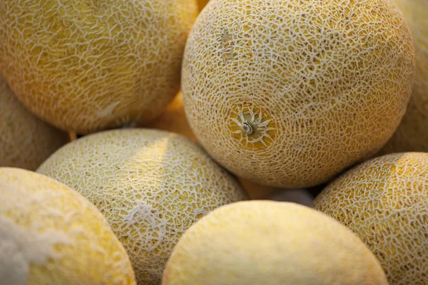 Verse meloenen op markt — Stockfoto