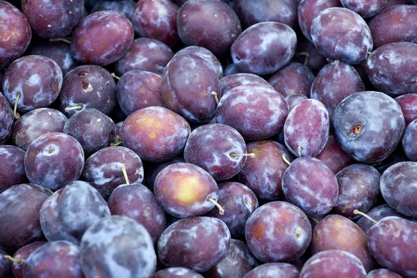 Fresh plums on market — Stock Photo, Image