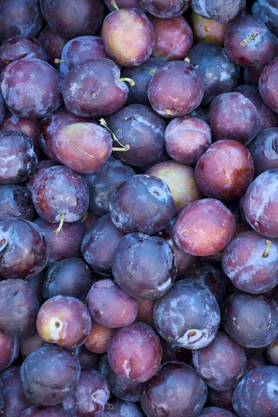Fresh plums on market — Stock Photo, Image
