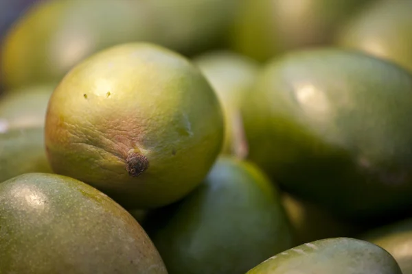 Mango fresco —  Fotos de Stock