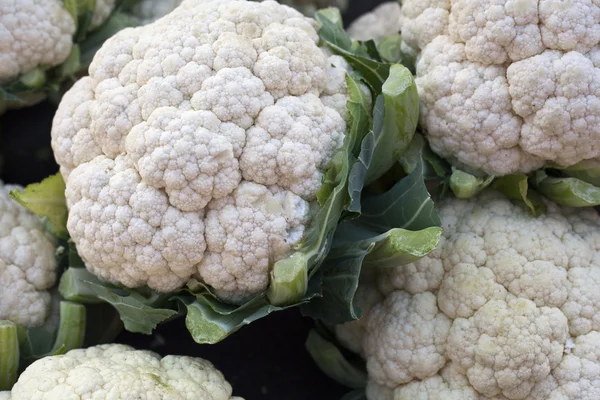 Cauliflower on market — Zdjęcie stockowe