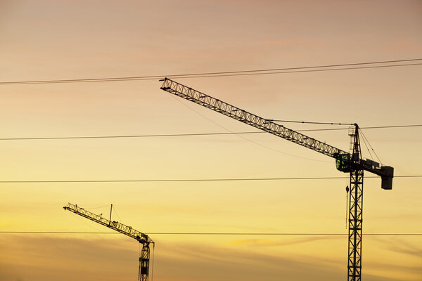 Two cranes on the background of sunset sky