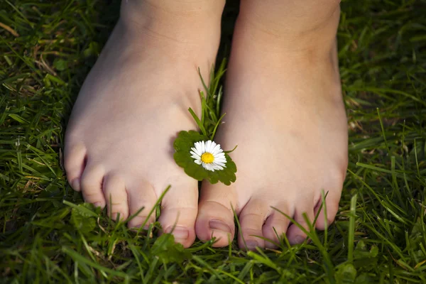 Childs voeten met bloem — Stockfoto