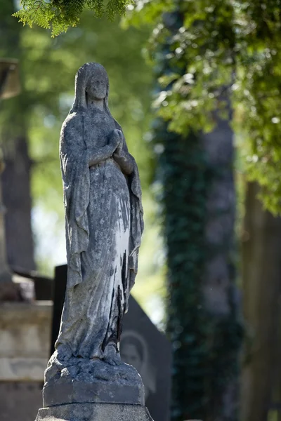 묘지 조각 — 스톡 사진