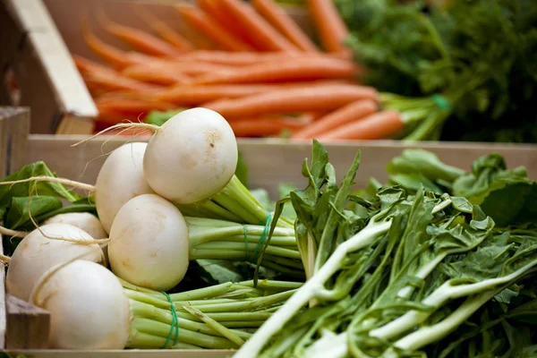 stock image Fresh turnips and carrots on a store