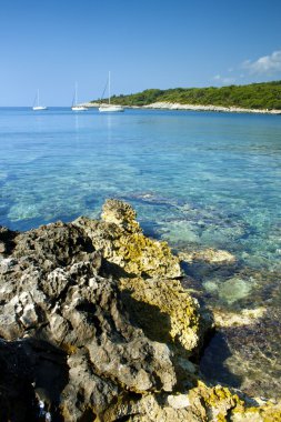 przina korcula, Hırvatistan