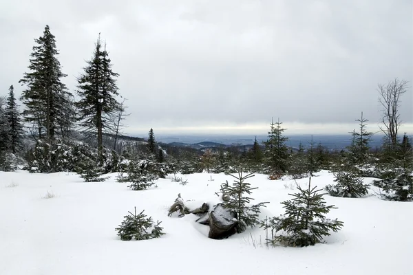 Besneeuwde landschap in Pools bergen — Stockfoto