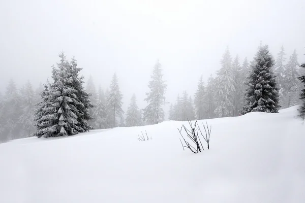 stock image Snowy landscape in polish mountains