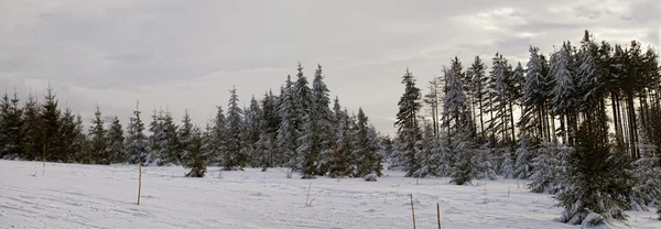 Winterlandschap in Pools bergen — Stockfoto