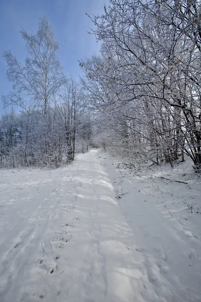 Paisaje invernal en montañas polacas — Foto de Stock
